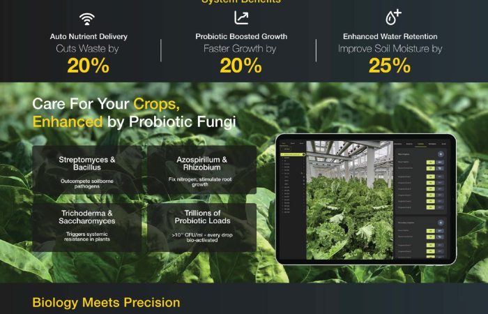 Aerodyne-Prime-Page-web